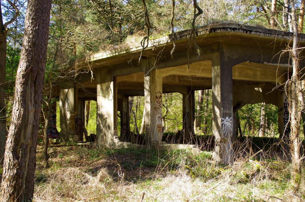 Ruine im Wald