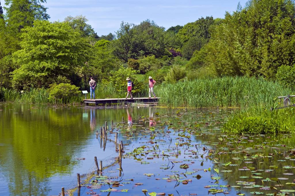 Teich im Baumpark Ellerhoop