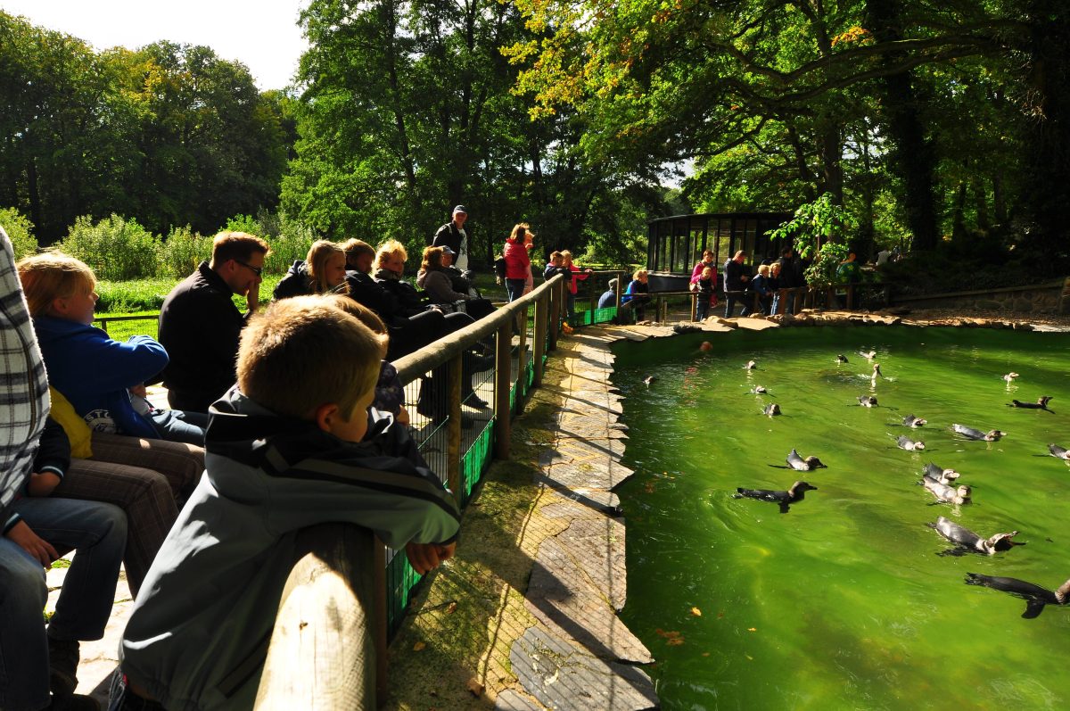 Große Änderung im Zoo Schwerin.