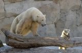 Der Zoo am Meer in Bremerhaven.