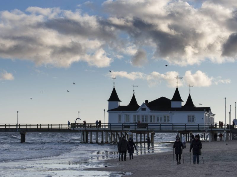 Unerwarteter Besuch auf Usedom – damit rechnete im Ostsee-Urlaub niemand