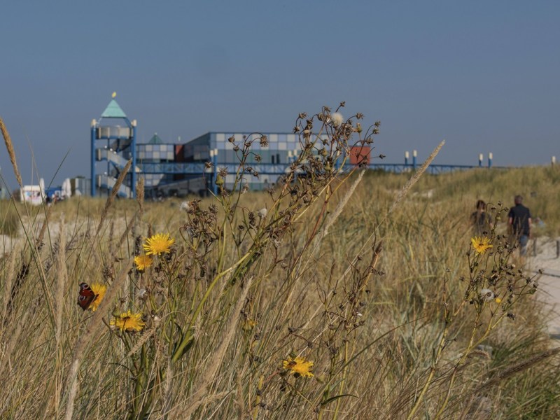 Nordsee: Großes Projekt nimmt Fahrt auf – doch Urlauber bangen um Sicherheit