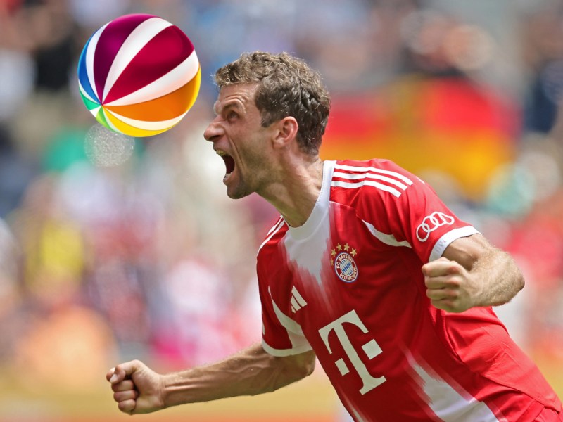 Sat.1: Mega-News für den Sender! Fußball-Fans sorgen für großen Jubel