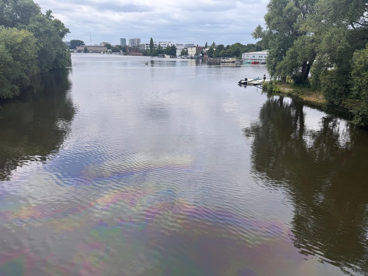 Ölfilm auf dem Billekanal in Hamburg.