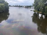 Ölfilm auf dem Billekanal in Hamburg.