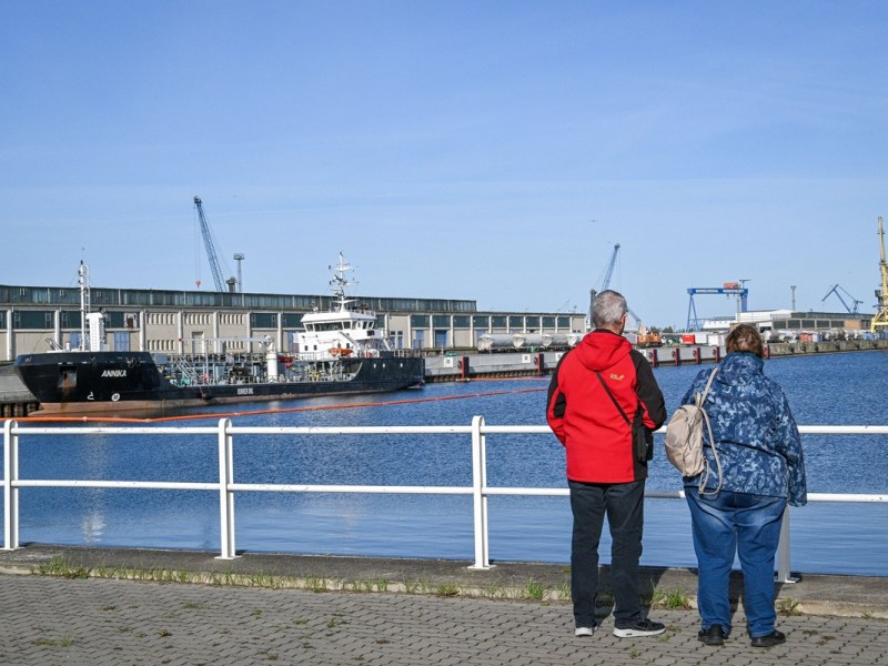 Tierische Rettungsaktion an der Ostsee – Vierbeiner aus Hafenbecken gefischt