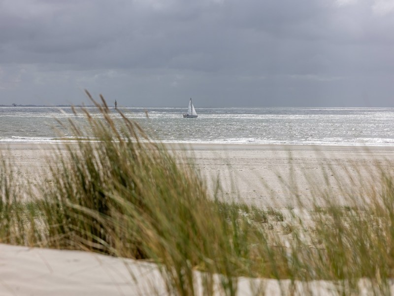 Mann findet goldenen Klumpen am Strand von Norderney – „500.000 Euro ungefähr“