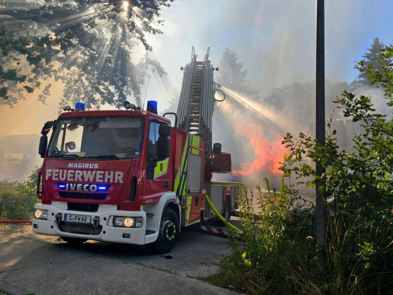 Hitzewelle sorgt für Brandgefahr an der Nordsee und Ostsee! Jetzt warnt sogar die Feuerwehr