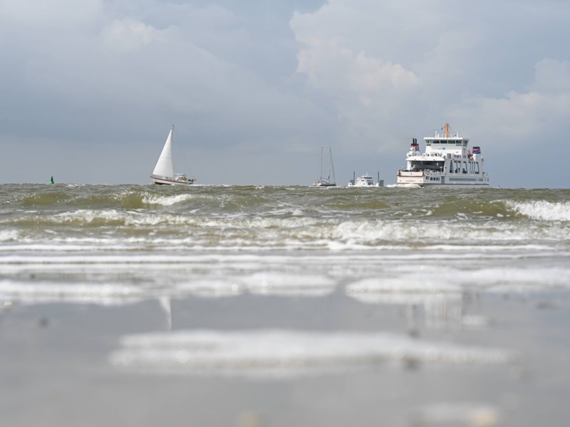 Nordsee-Urlauber schlagen Alarm – Fähre fährt plötzlich nicht mehr