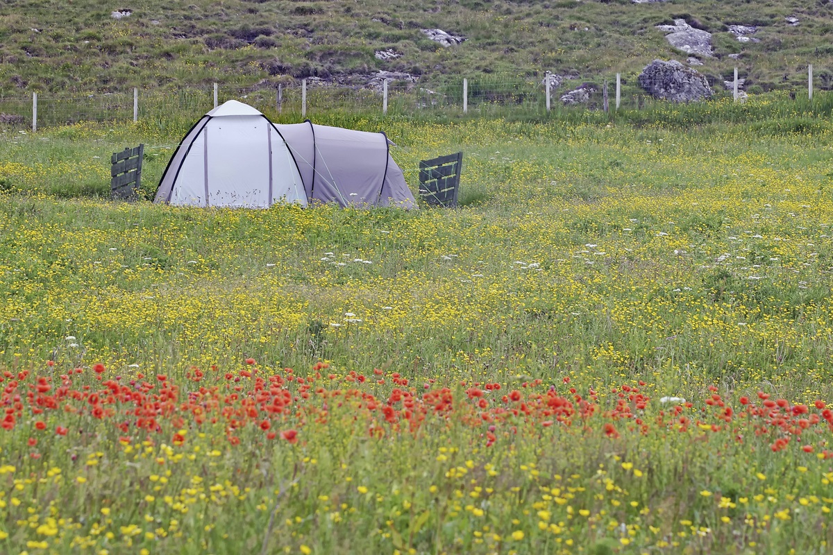 Gen-Z-fordert-Sturz-von-altem-Camping-Gesetz-Es-sollte-immer-erlaubt-sein-