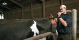Kühe zu besamen – das ist eher nichts für Jeffrey.